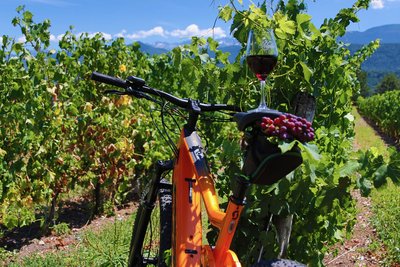 Verre de vin rouge de Savoie posé sur la selle d'un VTT au milieu d'une parcelle de vignes