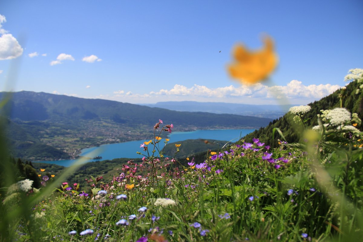 vue lac Annecy