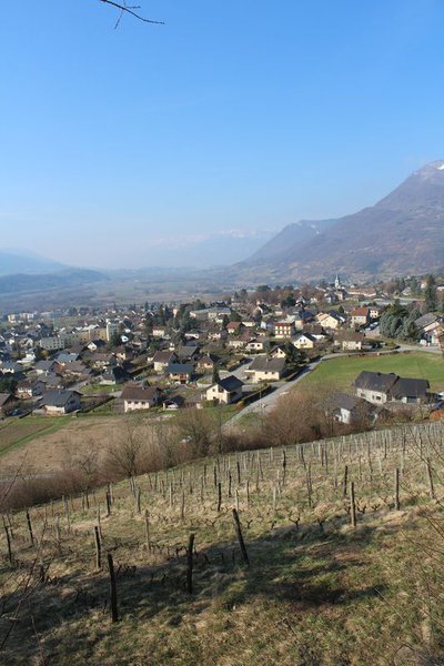 Vignes sur les hauteurs de Saint-Pierre-d'Albigny