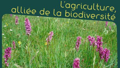 Quand l'agriculture favorise la biodiversité