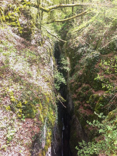 Le canyon du Pont du Diable