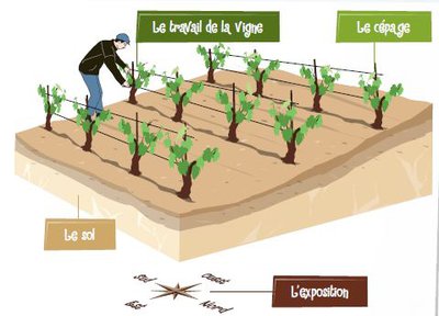 Terroir de Chignin