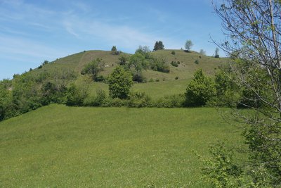 Motte castrale