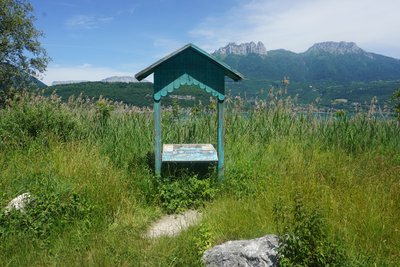 Table d'interprétation "Poissons du lac"