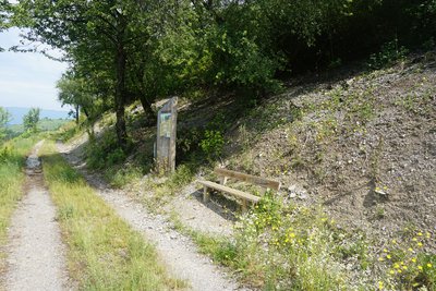 Les travaux en vert