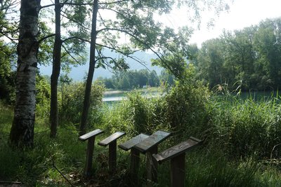 Sentier interprétation du Lac