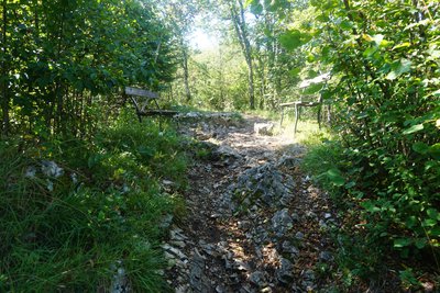 Forêt du Crêt de Maure