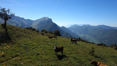 La vallée des Bauges-Devant en direction du col du Frêne