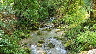 Le Laudon depuis le petit pont en pierre