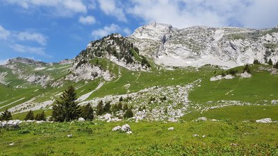 Pierriers situés en amont des chalets d'Orgeval, où ont été découverts des vestiges archéologiques