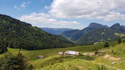 Les chalets du Golet comportant une cave, un logis, une étable et une grange