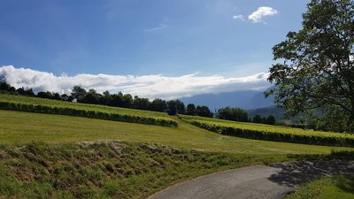 Exploitations viticoles à proximité du château de Verdun