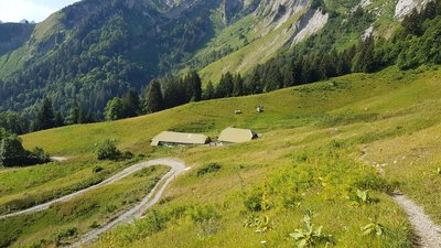 Vue en amont des chalets du Planay