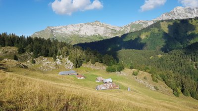 Vue en amont sur les chalets et l'alpage du Haut du Four depuis le sentier menant aux chalets d'Orisan