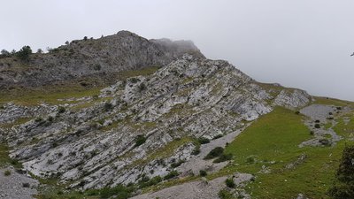 Les pierriers situés dans l'alpage de l'Armenaz, faisant partie de la zone de recherche, permettent d'observer des chamois