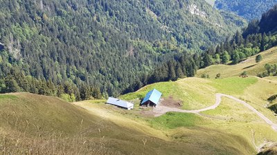 Les chalets du Drison visibles depuis le col du Drison