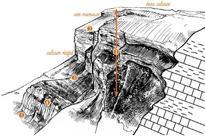 Le crêt du Margériaz