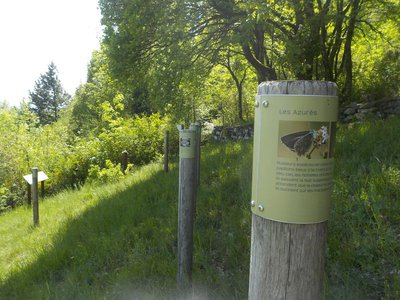 Aire de découverte des papillons