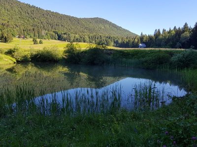 Lac du Mariet