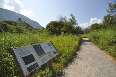 Au début du sentier de découverte