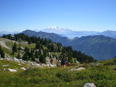 En montant à la petite Sambuy