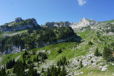 Vue au sommet