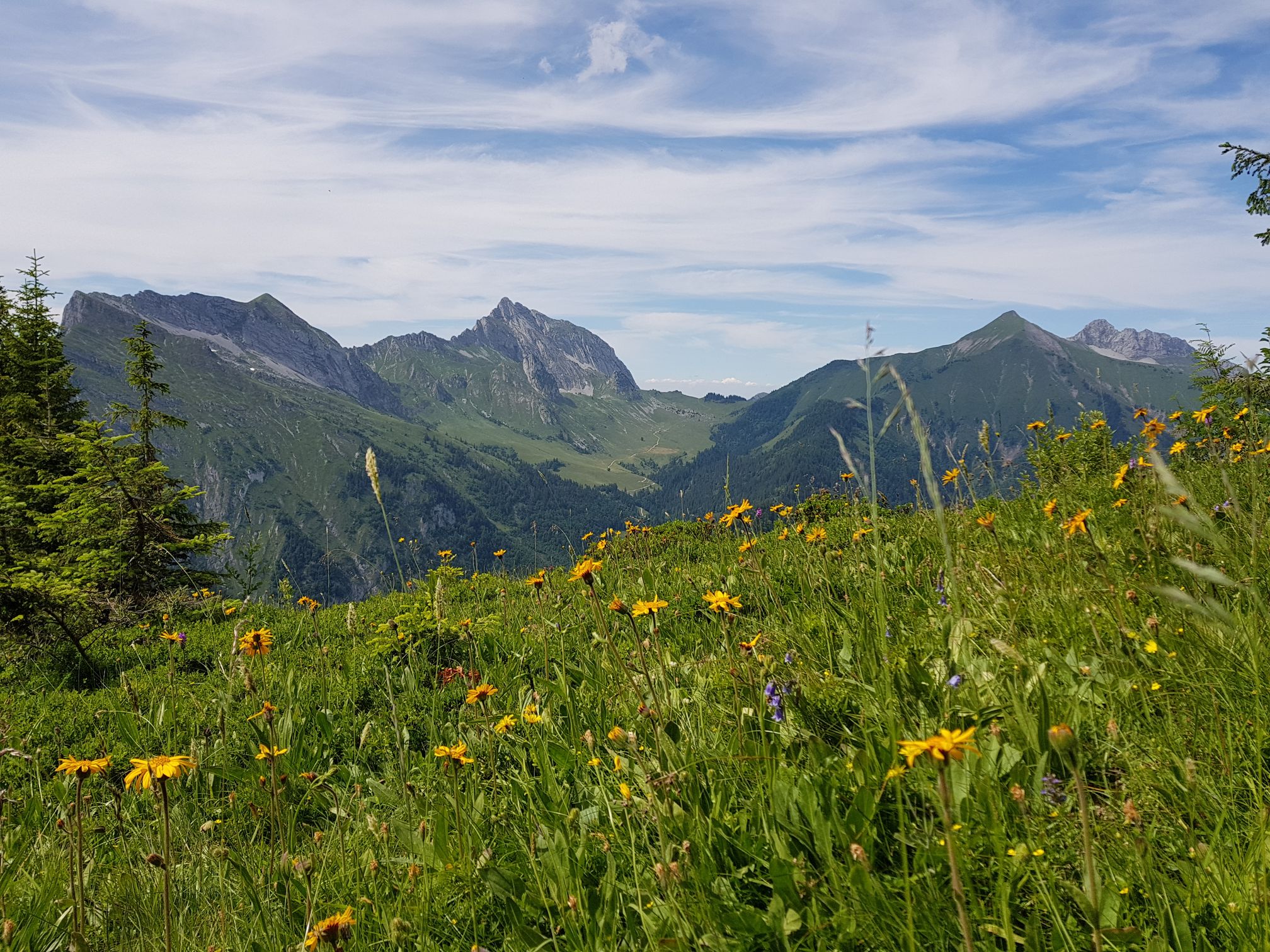 Vue depuis la pointe de la Fougère