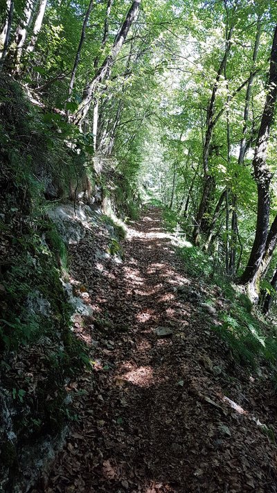 Forêt de Bange