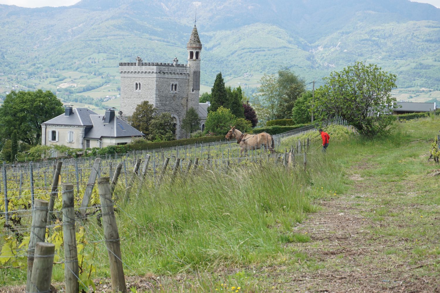 Vignoble de Chignin