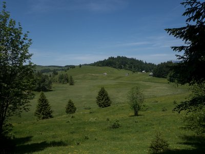 La tourbière des Creusates