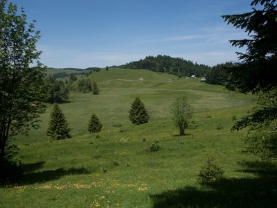 La tourbière des Creusates