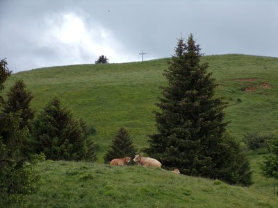 Point de vue sur la Croix des Bergers