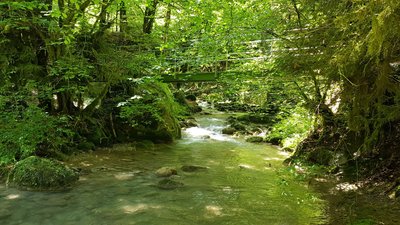 Passerelle du Laudon, visible en fin de parcours