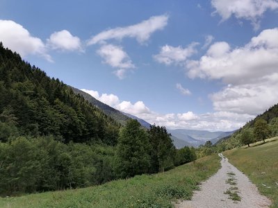 Sentier longeant la forêt de Bellevaux sur le retour