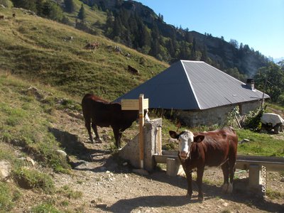 Le chalet du Rosay