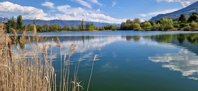 Lac Saint-André