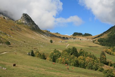 Le vallon d'Orgeval