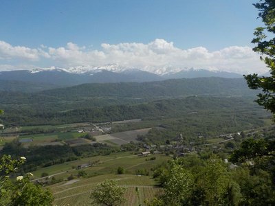 La vallée de l'Isère, depuis le vignoble